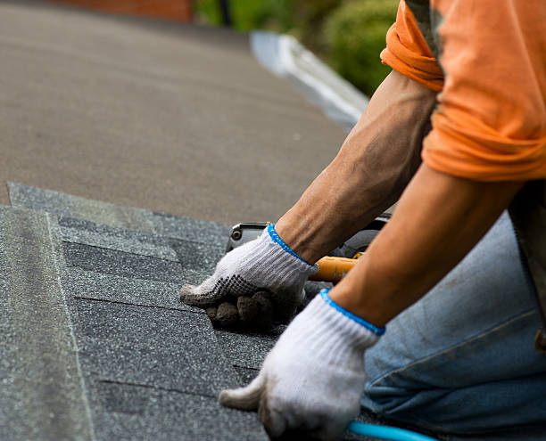 Best Roof Gutter Cleaning  in Arcola, VA