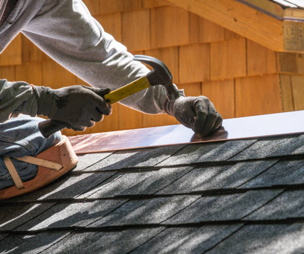 Roof Gutter Cleaning in Arcola, VA